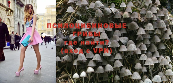СК Надым