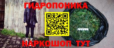 дурь Аргун