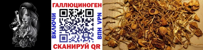 Галлюциногенные грибы мицелий  Астрахань 