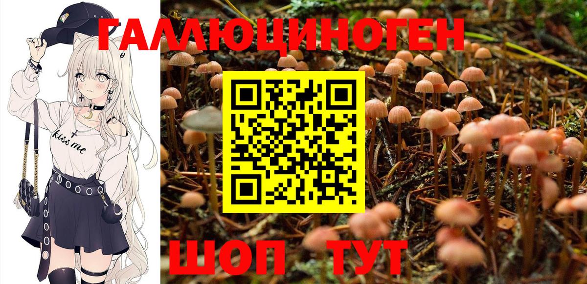 Галлюциногенные грибы Magic Shrooms  Вход с VPN  Астрахань 