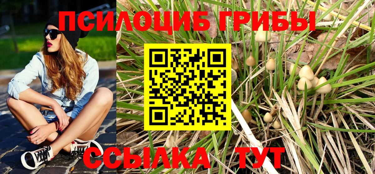 Псилоцибиновые грибы мицелий Астрахань
